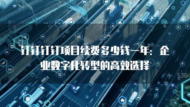 钉钉钉钉项目续费多少钱一年:企业数字化转型的高效选择