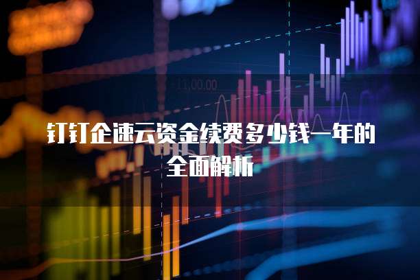 钉钉企速云资金续费多少钱一年的全面解析