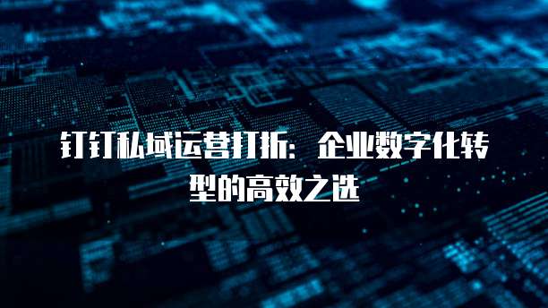 钉钉私域运营打折:企业数字化转型的高效之选