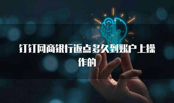 钉钉网商银行返点多久到账户上操作的