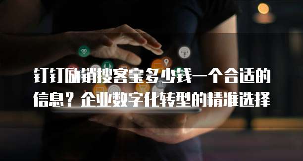 钉钉励销搜客宝多少钱一个合适的信息？企业数字化转型的精准选择