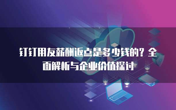 钉钉用友薪酬返点是多少钱的？全面解析与企业价值探讨