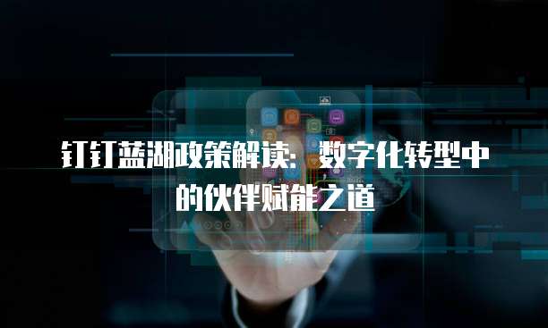 钉钉蓝湖政策解读:数字化转型中的伙伴赋能之道