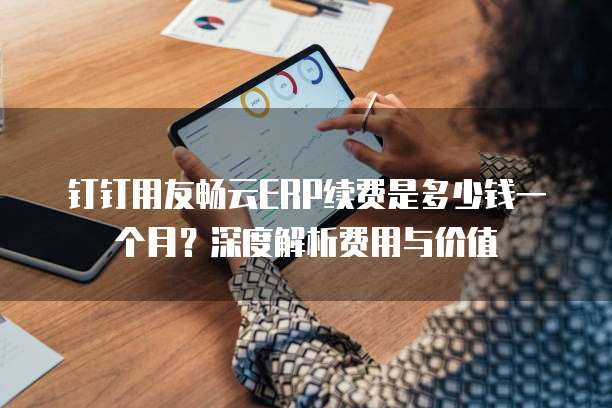 钉钉用友畅云ERP续费是多少钱一个月?深度解析费用与价值