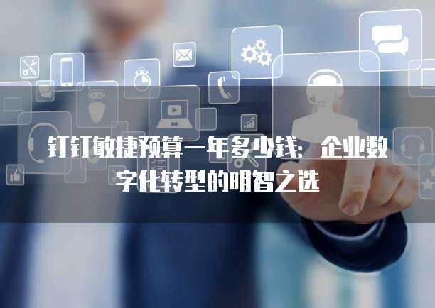 钉钉敏捷预算一年多少钱:企业数字化转型的明智之选