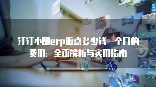 钉钉小圈erp返点多少钱一个月的费用:全面解析与实用指南