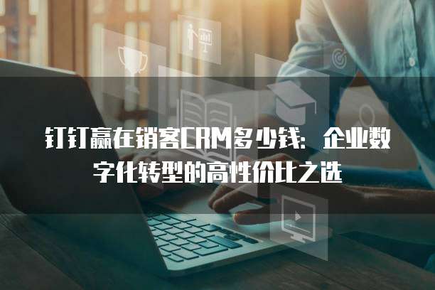 钉钉赢在销客CRM多少钱:企业数字化转型的高性价比之选