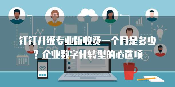钉钉升级专业版收费一个月是多少?企业数字化转型的必选项