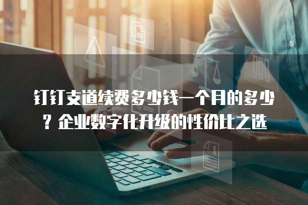钉钉支道续费多少钱一个月的多少?企业数字化升级的性价比之选