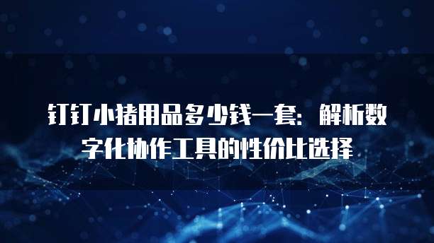钉钉小猪用品多少钱一套:解析数字化协作工具的性价比选择