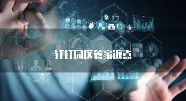 钉钉园区管家返点