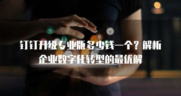 钉钉升级专业版多少钱一个？解析企业数字化转型的最优解