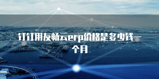 钉钉用友畅云erp价格是多少钱一个月