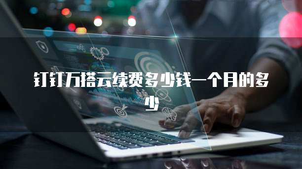 钉钉万搭云续费多少钱一个月的多少