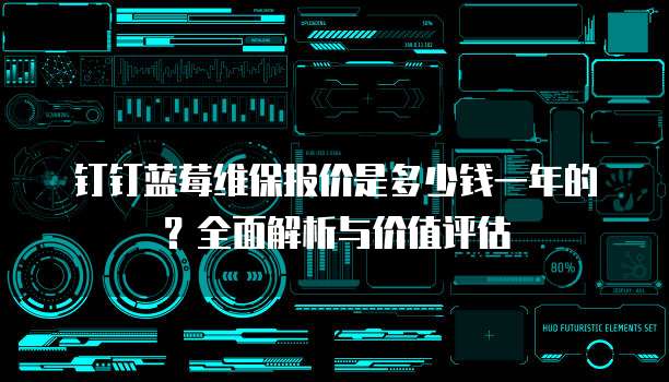 钉钉蓝莓维保报价是多少钱一年的?全面解析与价值评估