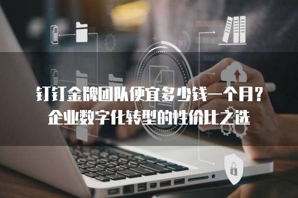 钉钉金牌团队便宜多少钱一个月?企业数字化转型的性价比之选