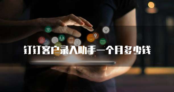 钉钉客户录入助手一个月多少钱