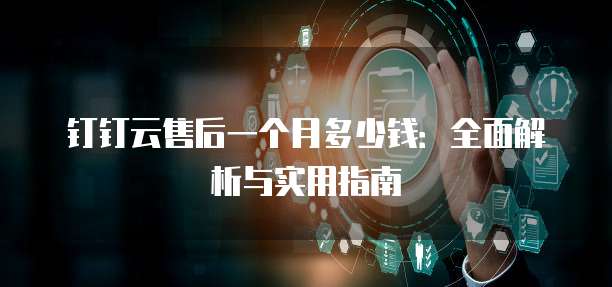 钉钉云售后一个月多少钱:全面解析与实用指南