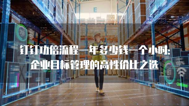钉钉功倍流程一年多少钱一个小时:企业目标管理的高性价比之选