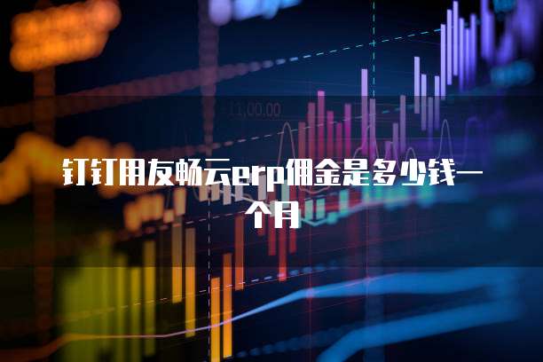 钉钉用友畅云erp佣金是多少钱一个月