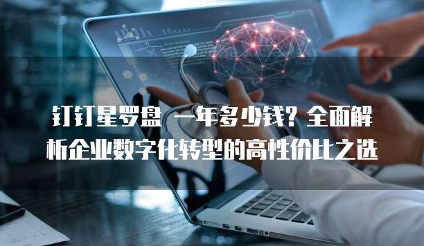 钉钉星罗盘 一年多少钱?全面解析企业数字化转型的高性价比之选