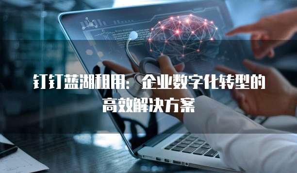 钉钉蓝湖租用:企业数字化转型的高效解决方案