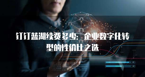 钉钉蓝湖续费多少:企业数字化转型的性价比之选