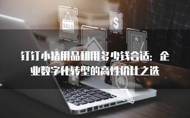 钉钉小猪用品租用多少钱合适:企业数字化转型的高性价比之选