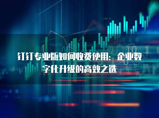 钉钉专业版如何收费使用:企业数字化升级的高效之选