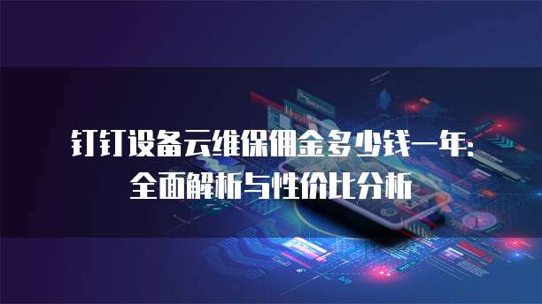 钉钉设备云维保佣金多少钱一年：全面解析与性价比分析