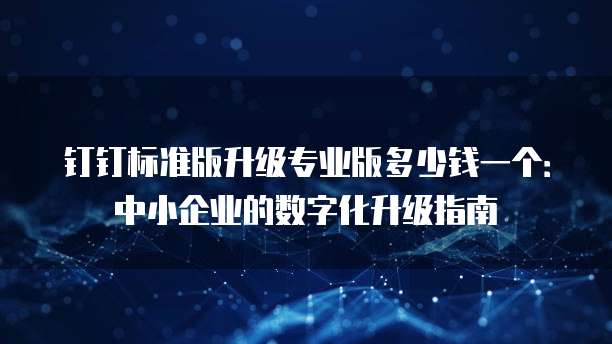 钉钉标准版升级专业版多少钱一个：中小企业的数字化升级指南