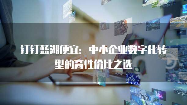 钉钉蓝湖便宜:中小企业数字化转型的高性价比之选