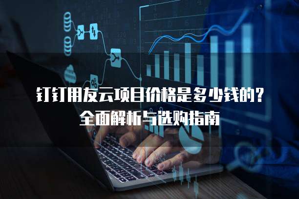 钉钉用友云项目价格是多少钱的？全面解析与选购指南