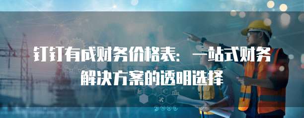 钉钉有成财务价格表：一站式财务解决方案的透明选择