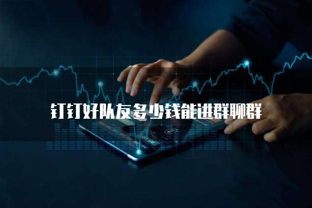 钉钉好队友多少钱能进群聊群