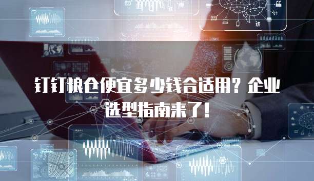 钉钉粮仓便宜多少钱合适用？企业选型指南来了！