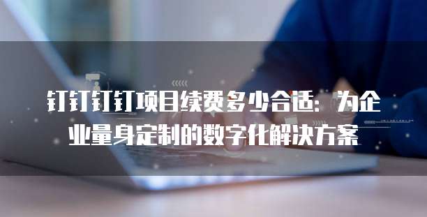 钉钉钉钉项目续费多少合适:为企业量身定制的数字化解决方案