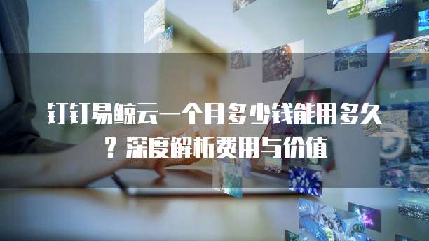 钉钉易鲸云一个月多少钱能用多久？深度解析费用与价值