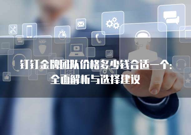 钉钉金牌团队价格多少钱合适一个：全面解析与选择建议