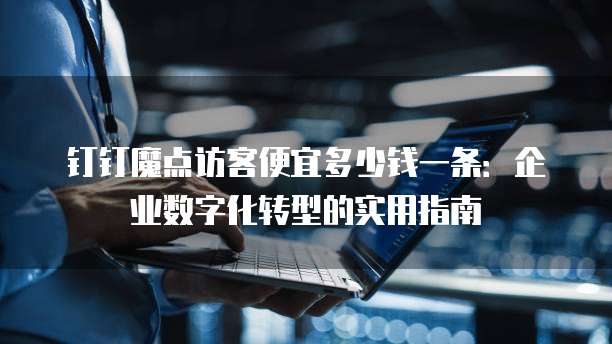 钉钉魔点访客便宜多少钱一条：企业数字化转型的实用指南