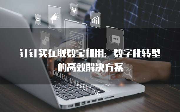 钉钉实在取数宝租用:数字化转型的高效解决方案