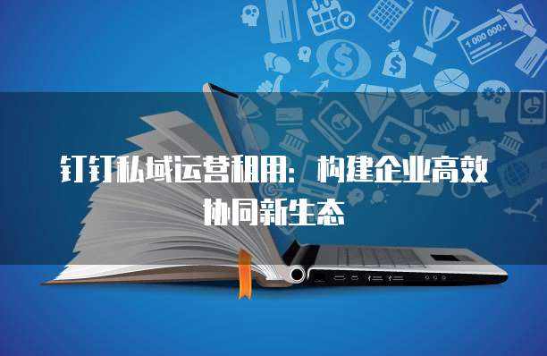 钉钉私域运营租用:构建企业高效协同新生态