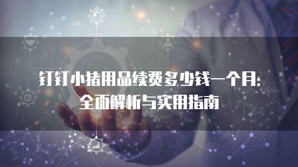 钉钉小猪用品续费多少钱一个月：全面解析与实用指南