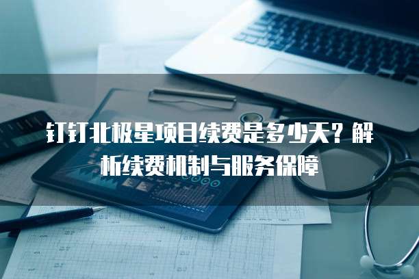 钉钉北极星项目续费是多少天?解析续费机制与服务保障