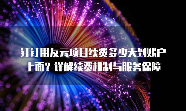 钉钉用友云项目续费多少天到账户上面?详解续费机制与服务保障