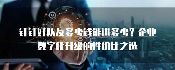 钉钉好队友多少钱能进多少?企业数字化升级的性价比之选