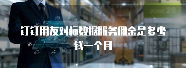 钉钉用友对标数据服务佣金是多少钱一个月