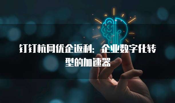 钉钉杭网优企返利:企业数字化转型的加速器