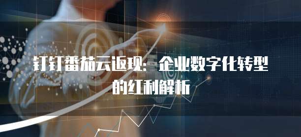 钉钉番茄云返现：企业数字化转型的红利解析