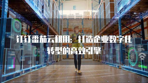 钉钉番茄云租用：打造企业数字化转型的高效引擎